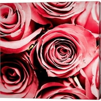 Great Art Now Moonlight & Roses от Jessica Manelis, Canvas Wall Art, 24W 24h