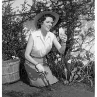 Postterazzi sal средна възрастна жена Градинарство и пиене на лимонада Плакат за печат - в