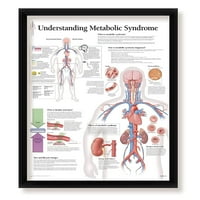 Разбиране на метаболитен синдром в рамка медицинска образователна информационна диаграма Лекари в офис Училище
